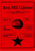 Kva må gjerast 1989